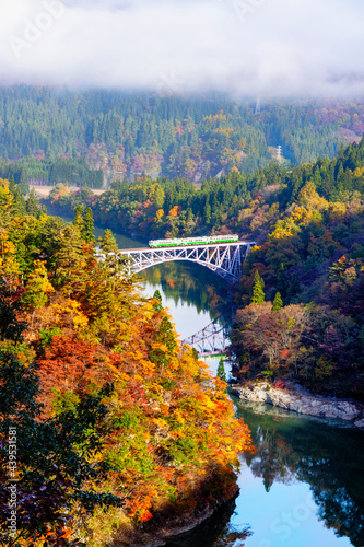 橋を渡る列車と紅葉