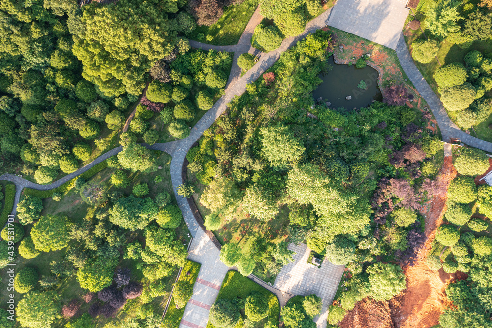 Aerial image of forest, background image of garden construction in Hangzhou, China.
