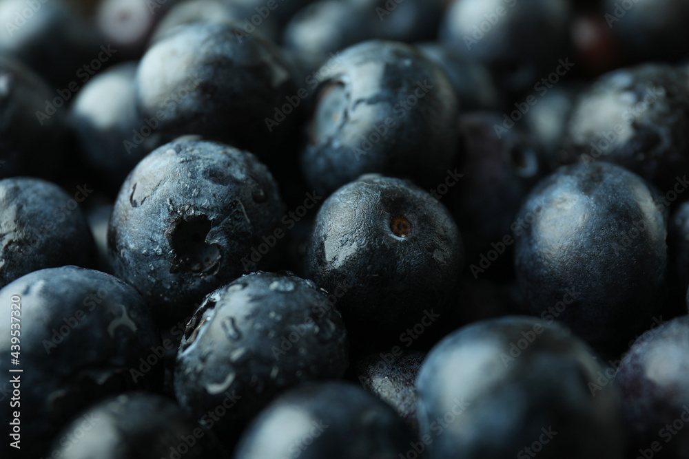 Fresh berry concept with blueberry, close up Fresh berry concept with blueberry, close up
