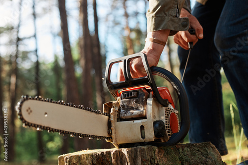 Faceless forester starting chainsaw for cutting trees in forest, planned deforestation, special equipment for logging, unknown person working in wood. photo