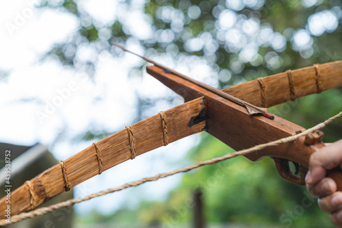 A crossbow made of ordinary wood used by hill tribes to hunt. He was held in his right hand aiming towards the sky with a blurred background of sky and trees.