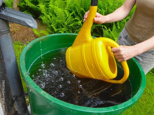 Regenwasser sinnvoll nutzen photo