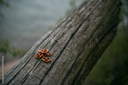 Fresh pretzel in the forest. Close up isolation of salty snack with soft focus nature background. © AlexGo