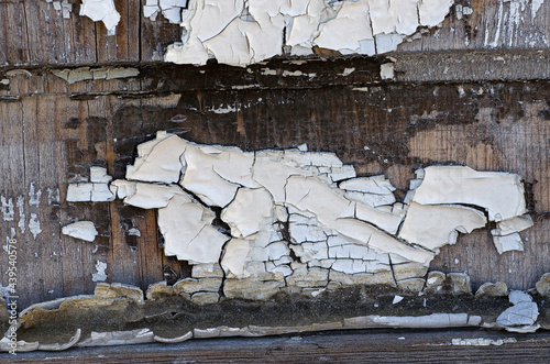 macro of decaying paint on wood photo