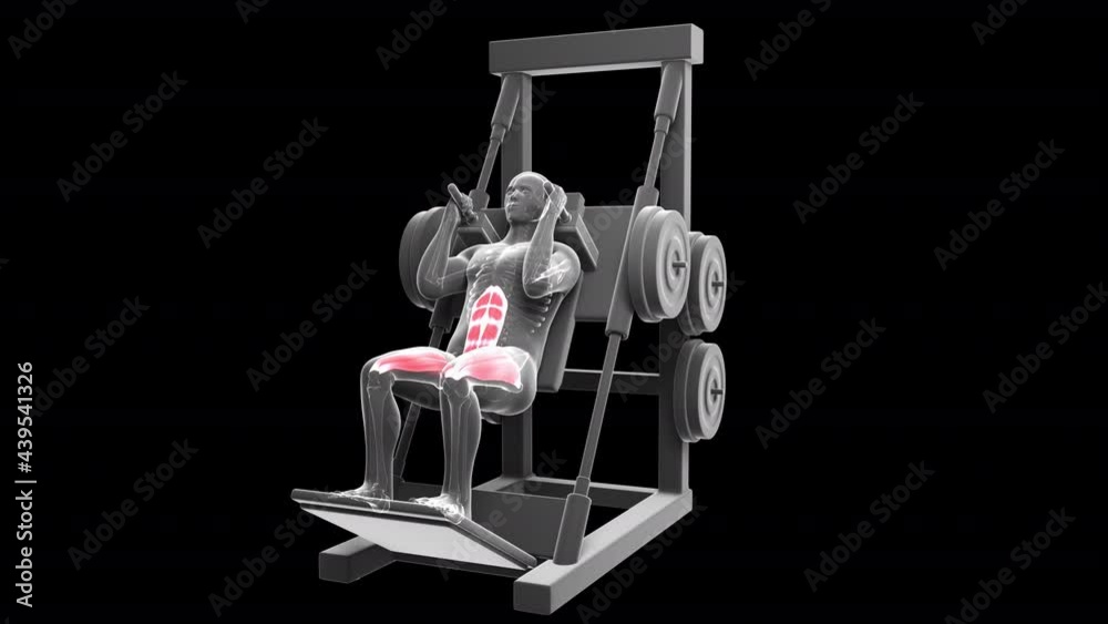 Hack Squat