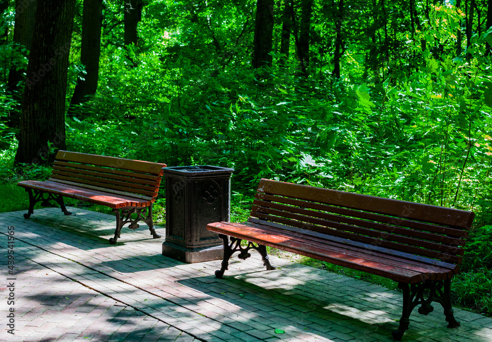 A wooden bench sitting in the middle of a park