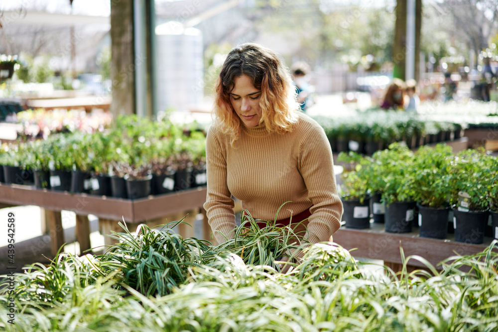 Young woman managing a plant nursery small business Young woman managing a plant nursery small business