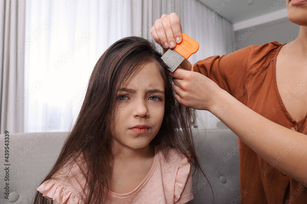 Fototapeta premium Mother using nit comb on her daughter's hair indoors. Anti lice treatment