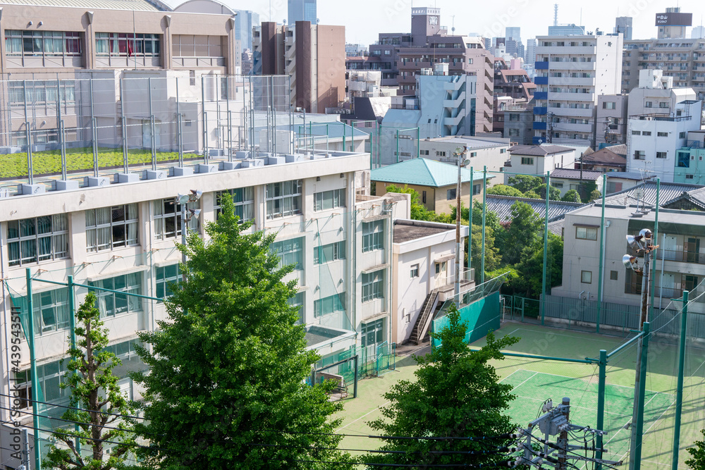活動歴および当時の関連ビジュアル記録