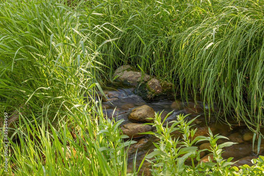 A babbling brook is surrounded by long blades of green grass, bright, wildflowers, trees and other greenery. The cool, clear water flows around large boulders and down waterfalls in this quiet spot A babbling brook is surrounded by long blades of green grass, bright, wildflowers, trees and other greenery. The cool, clear water flows around large boulders and down waterfalls in this quiet spot