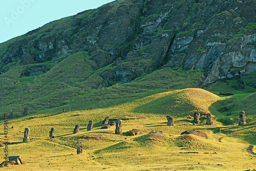 Large group of abandoned gigantic Moai statues on the slope of Rano Raraku volcano, the legendary Moai quarry on Easter Island of Chile photo