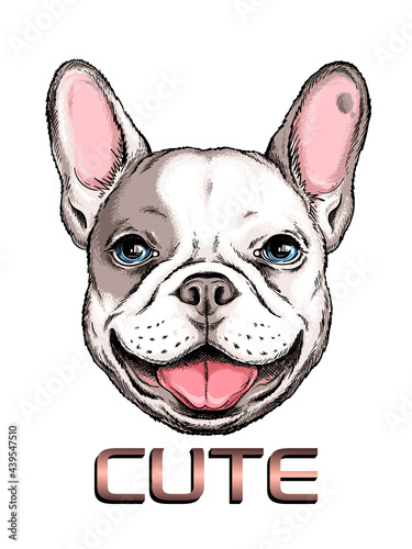 Cute french bulldog portrait. Vector illustration. Stylish image for printing on any surface