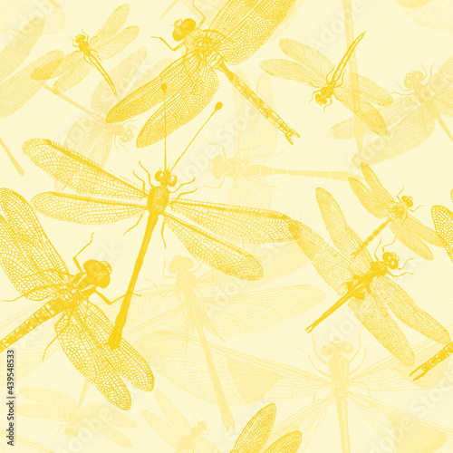 Dragonflies pattern in yellow photo