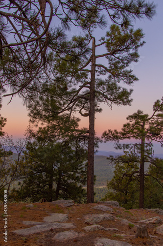 In Payson  Arizona this is known as the Mogollon Rim. The sun sets looking out over the rim  through the trees  the colorful sky paints the ledge and flowing hills  boulders and trees colorful shades 