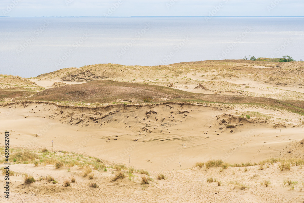Panoramic view of sand dunes in Nida, Klaipeda, Lithuania, Europe. Curonian Spit and Curonian Lagoon. Baltic Dunes on the Baltic Sea. Unesco heritage