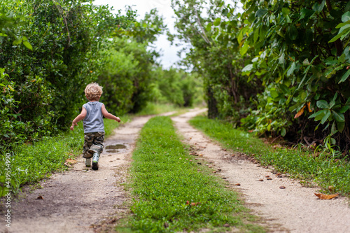 Wallpaper Mural Toddler Walking down Road Torontodigital.ca