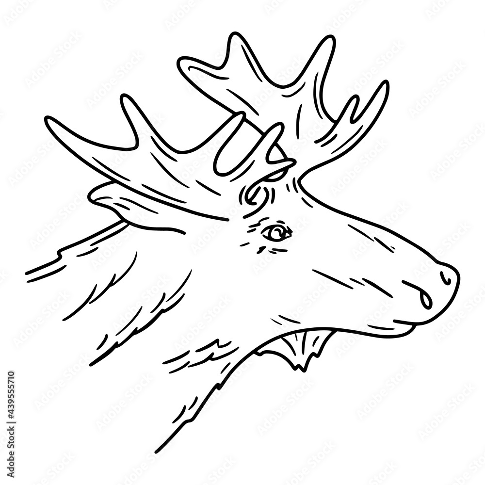 Obraz premium Moose head, linear icon in Doodle style. Elk on a white background