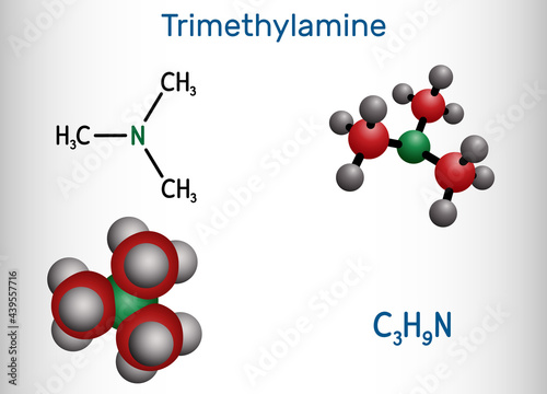 Trimethylamine, TMA molecule. It is amine, methylamine, synthesized by microbial enzymes in gut with involvement of dietary components. Structural chemical formula, molecule model