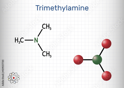 Trimethylamine, TMA molecule. It is amine, methylamine, synthesized by microbial enzymes in gut with involvement of dietary components. Sheet of paper in a cage
