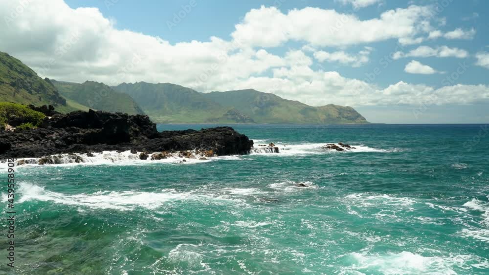 Monk seals are earless seals of the tribe Monachini. Kaena Point State Park,Oahu, Hawaii. Coastline scenery Monk seals are earless seals of the tribe Monachini. Kaena Point State Park,Oahu, Hawaii. Coastline scenery