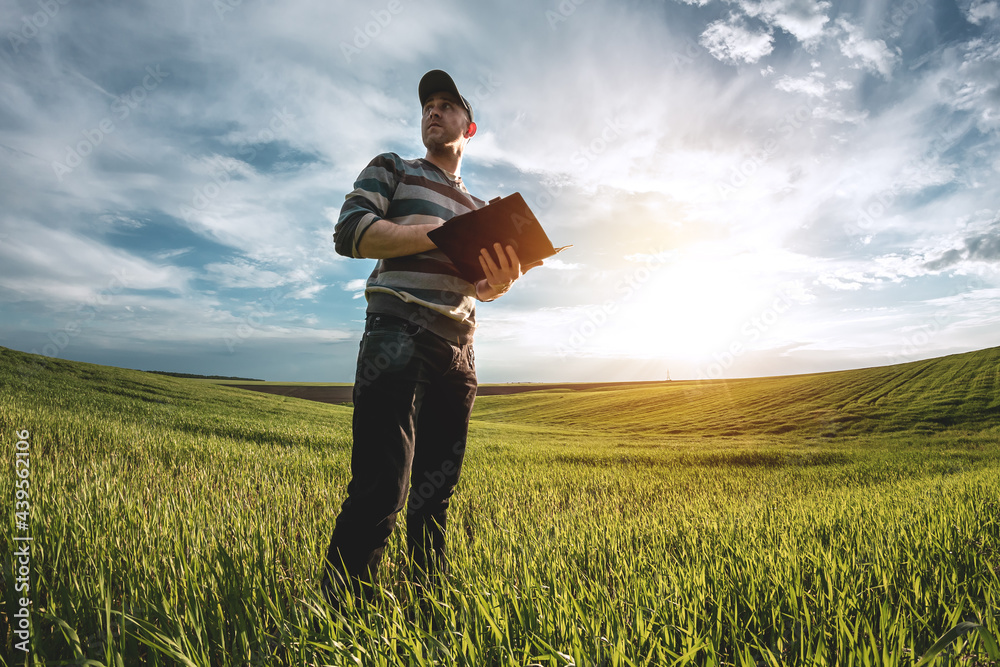 A young agronomist holds a folder in his hands on a green wheat field. A farmer makes notes on the background of agricultural land during sunset. Man in a cap with a folder of documents A young agronomist holds a folder in his hands on a green wheat field. A farmer makes notes on the background of agricultural land during sunset. Man in a cap with a folder of documents