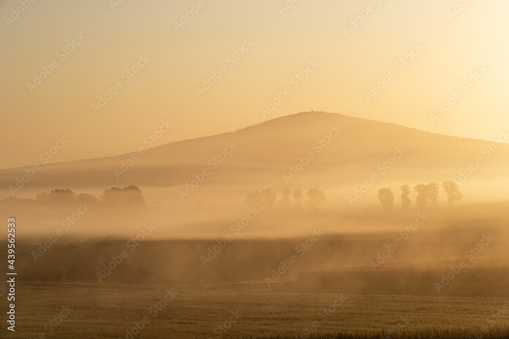 Obraz premium Nebelmorgen 3