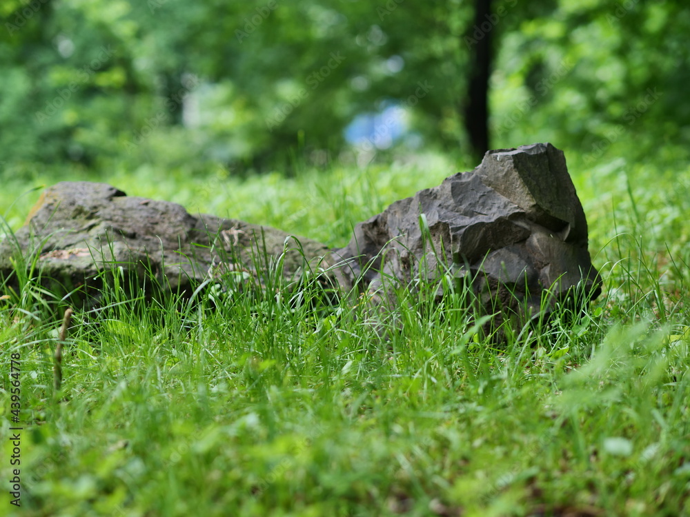stone in the grass stone in the grass