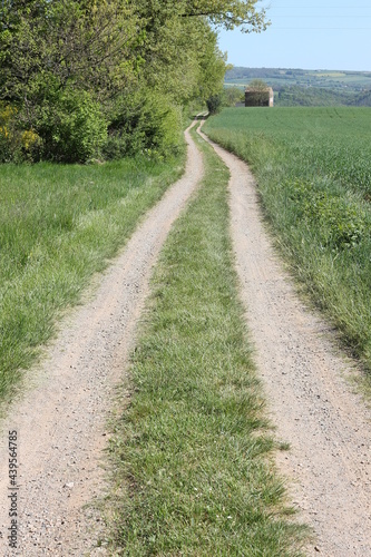 road in the countryside © T