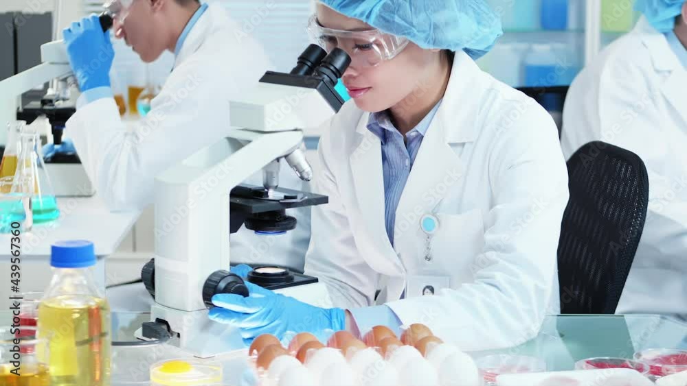 Food Safety Concept Food Safety Concept
