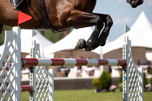 Horse Jumping, Equestrian Sports, Show Jumping themed photo. photo