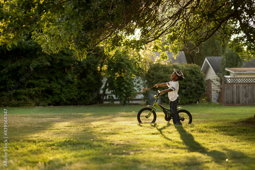 Boy on bike under tree Boy on bike under tree