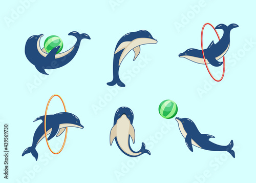 Set of cartoon dolphins in different poses, vector illustration of marine animals. Painted dolphins swim and players in dolphinarium.