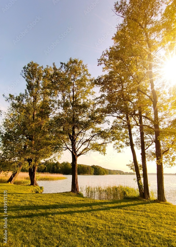 Fototapeta premium Sunset on the lake