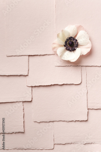Blossom on layered pink paper