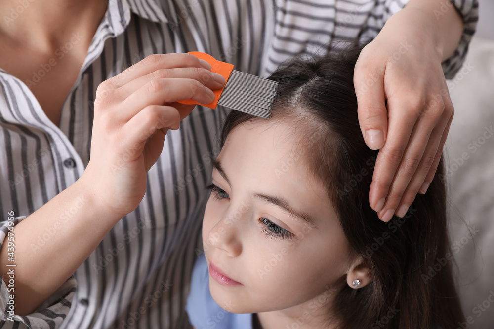 Fototapeta premium Mother using nit comb on her daughter's hair indoors. Anti lice treatment