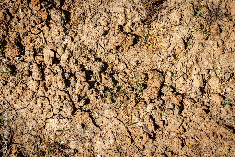 Abstract ground texture background Abstract ground texture background