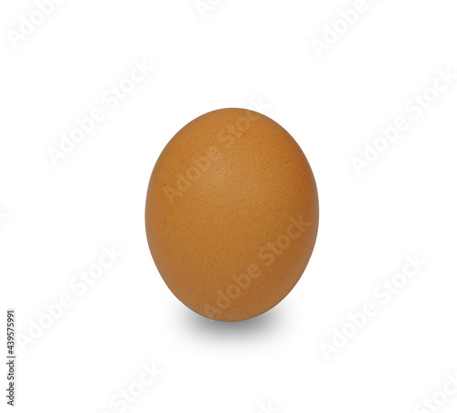 one chicken egg with shadow on white background