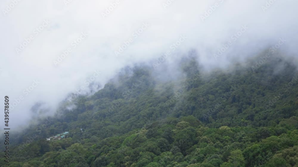 mist in the mountains mist in the mountains