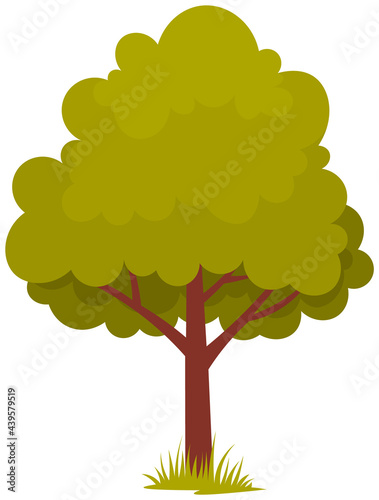 Alone deciduous tree with trunk and dense foliage. High plant with widely spread branches and green leaves. Broad-stemmed deciduous plant. Tree with green foliage isolated on white background