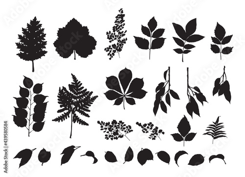 Set of Hand Drawn Forest Leaves Silhouettes, Vector Illustrations for invitations, greeting cards, quotes, blogs, posters.