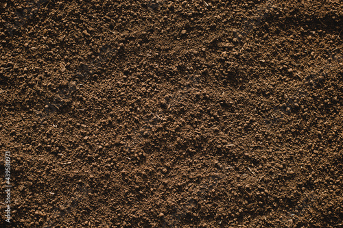 Soil texture background, Fertile soil for planting.