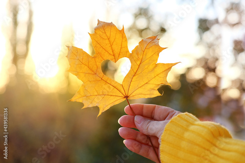 yellow leaf with a heart in a female hand, background of golden leaves lie chaotically on the ground, autumn mood concept, seasonal