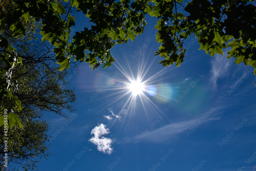 Obraz premium sun and clouds