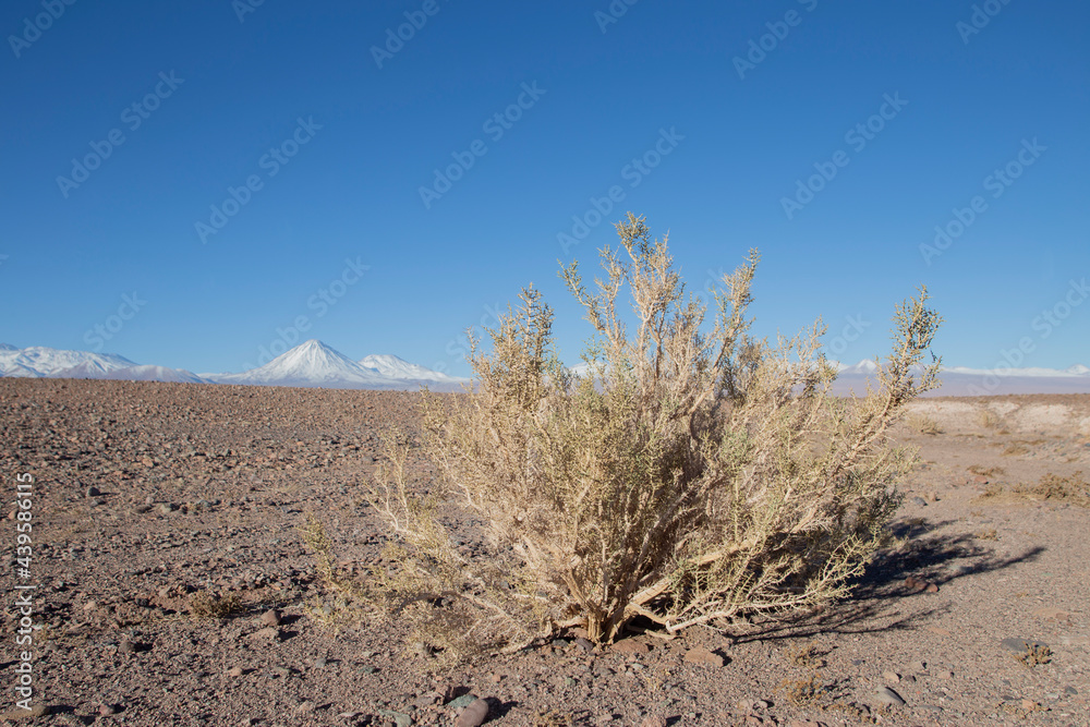 Recorrido por San Pedro de Atacama en Chile