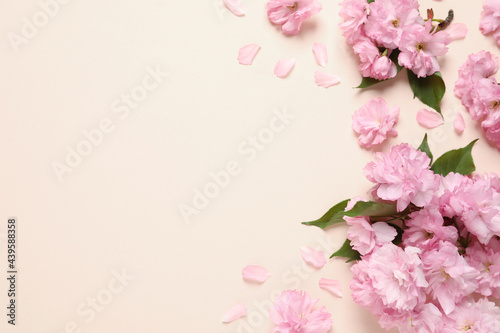 Beautiful sakura tree blossoms on pink background  flat lay. Space for text