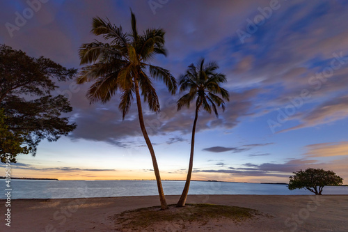 Two palm trees on a beach overlooking the ocean at sunset.