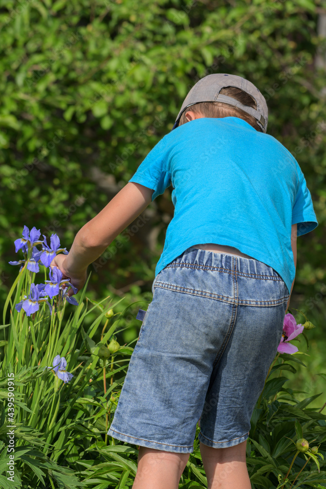 A boy takes care of garden flowers on a summer day A boy takes care of garden flowers on a summer day