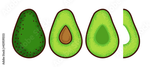 Avocado. Whole fruit, halfs and slice isolated on white. Vector illustration.