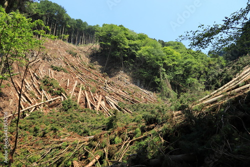 土砂崩れ