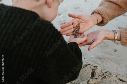 A butterfly in mother's hands